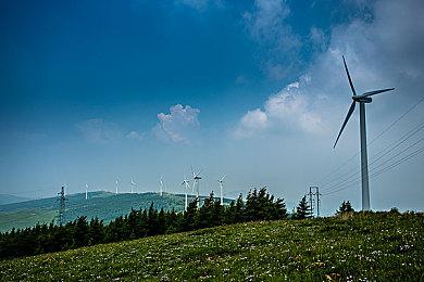 《网络工程师模拟器》今秋发售 体验布线的滋味